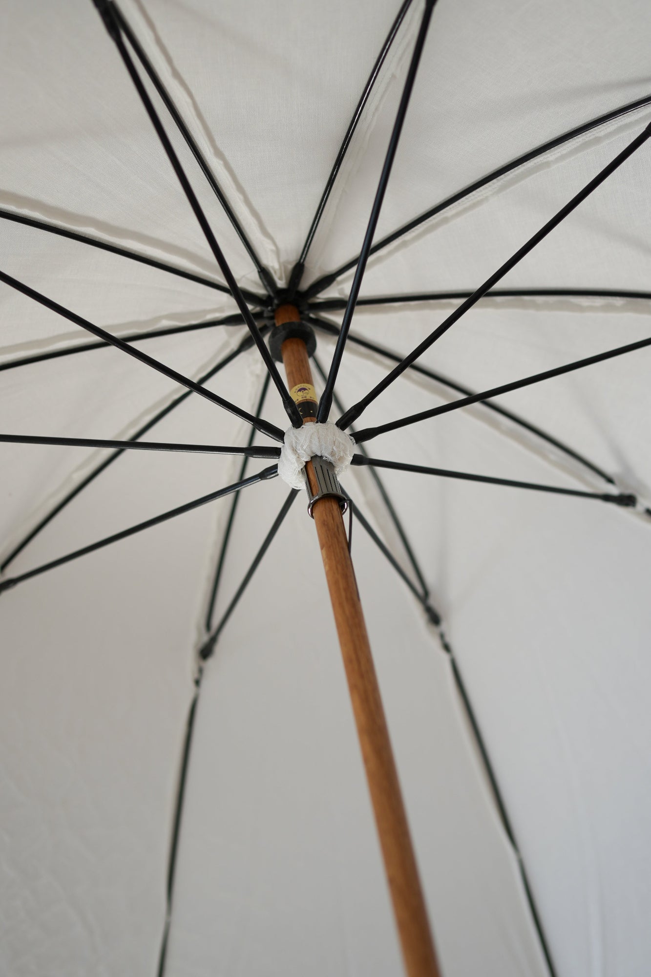 リバーレース 長傘 50cm 10本骨