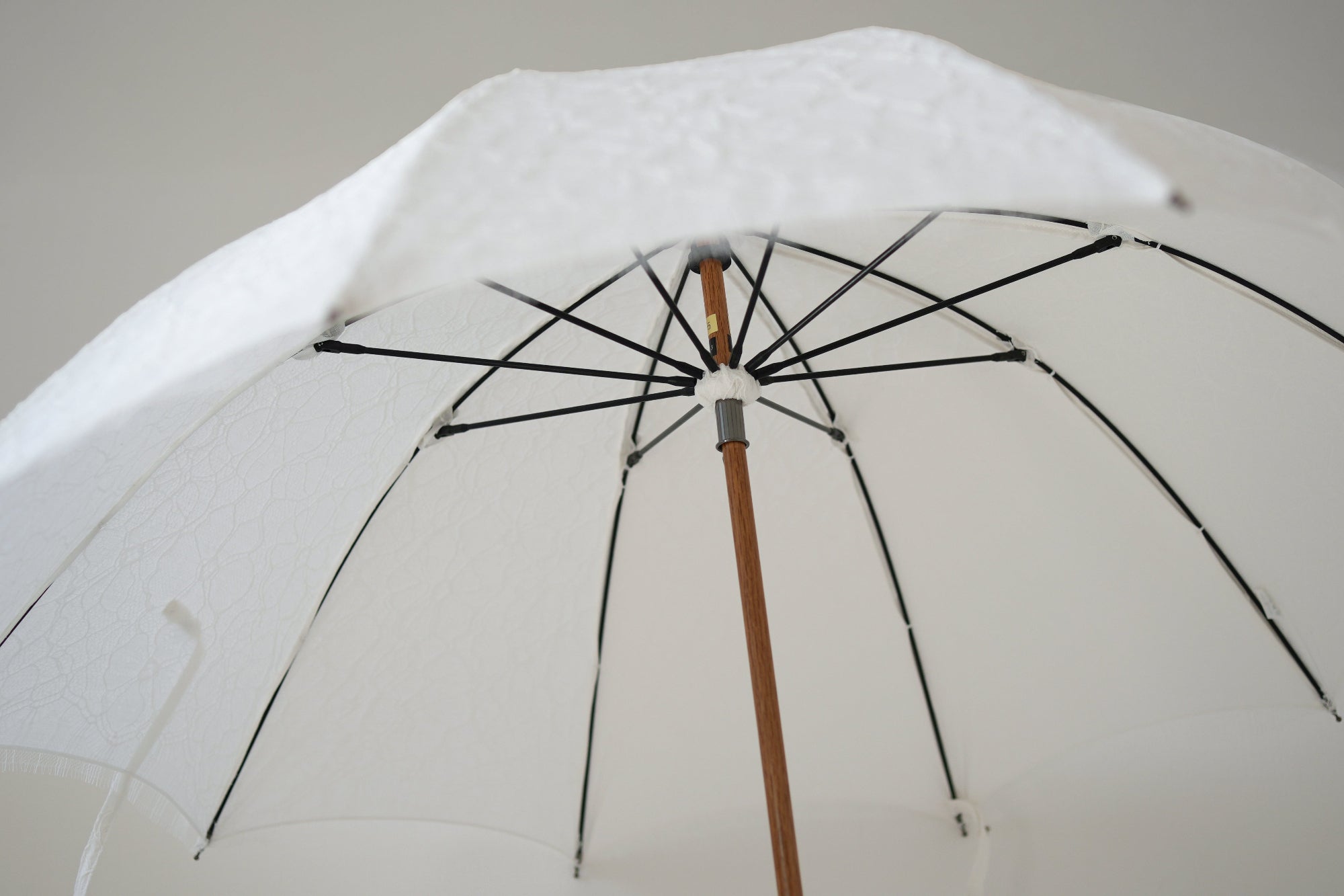 リバーレース 長傘 50cm 10本骨
