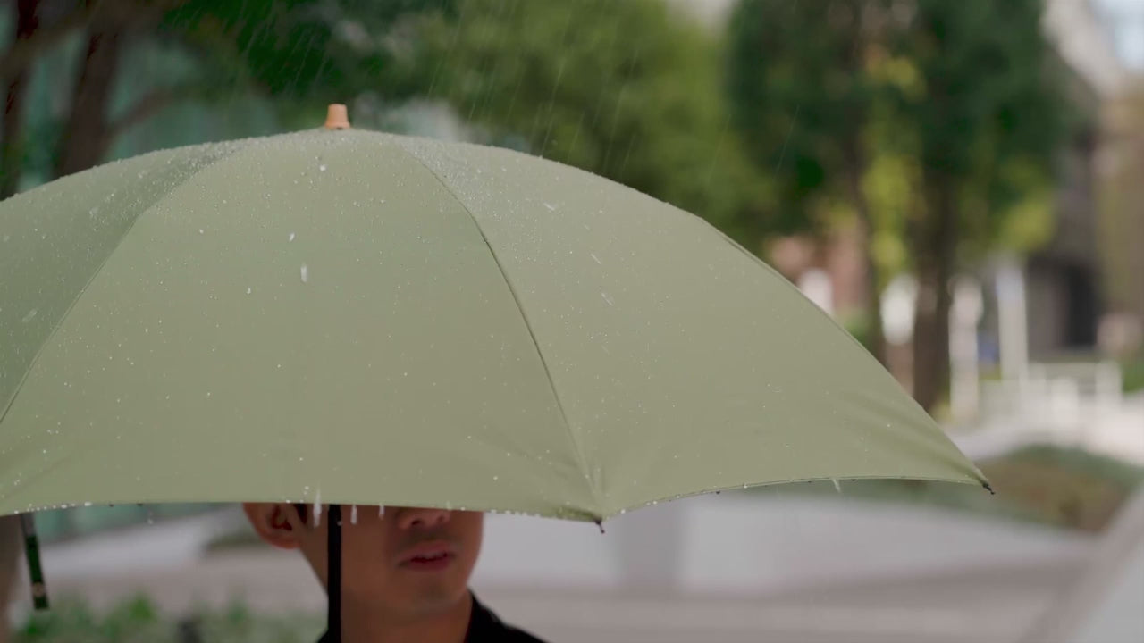 Miratoray Folding Umbrella 55cm 8 Ribs (Renewed)