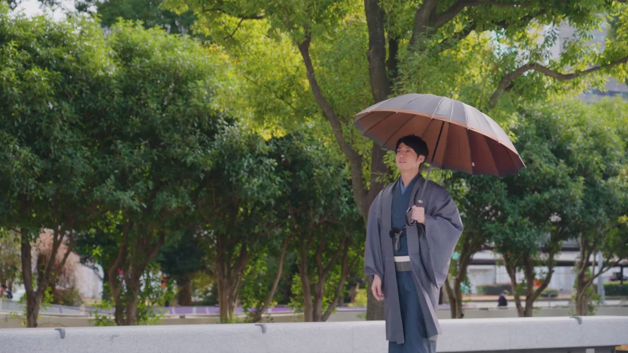 Tachibana long umbrella 65cm 16 ribs