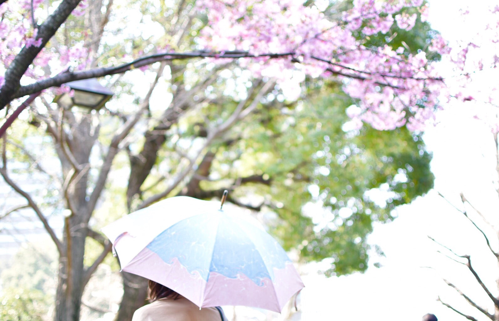墨流し染 晴雨兼用傘が新登場です！ – 傘専門店 小宮商店