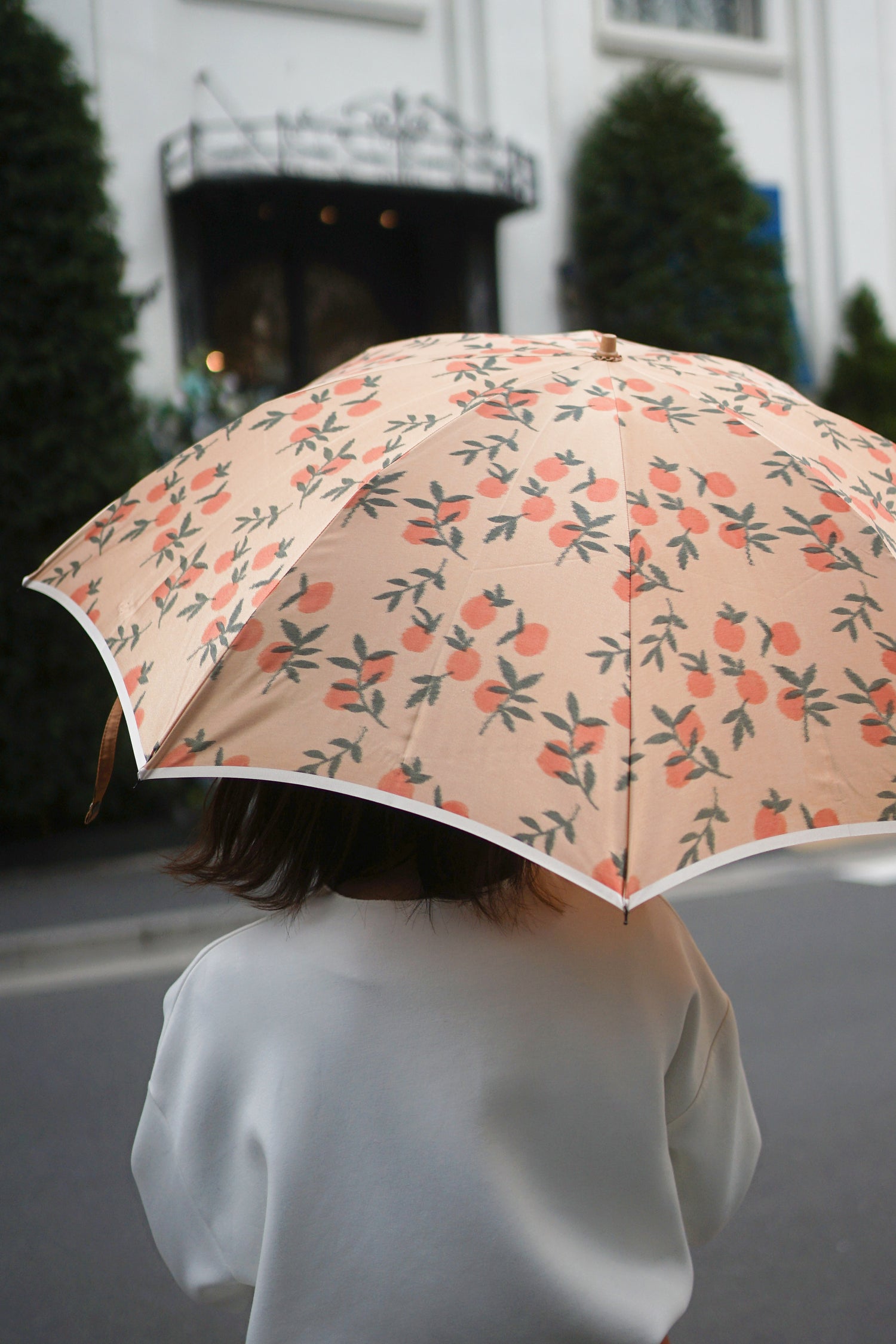 Konomi Folding Umbrella 55cm 8 Ribs