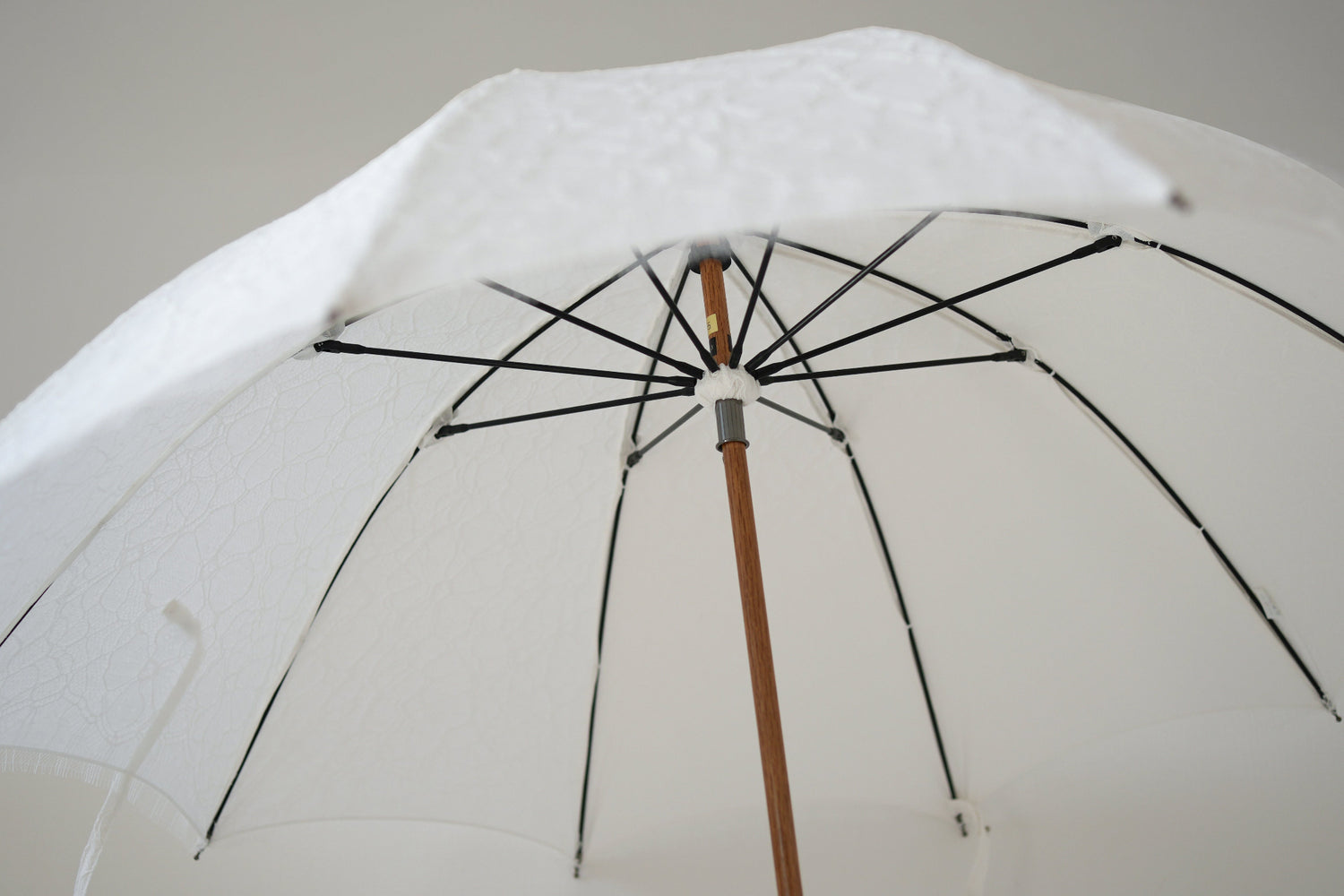 リバーレース　長傘　50cm　10本骨