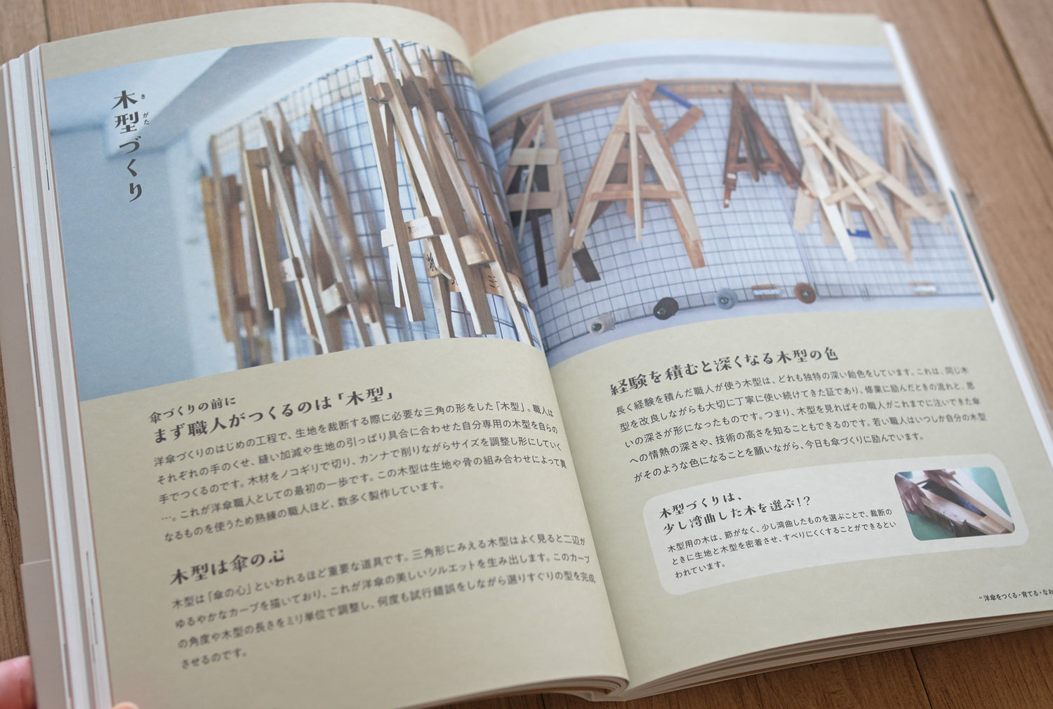 『詳しく楽しく学べる 洋傘の教科書 1％以下の洋傘のこと』