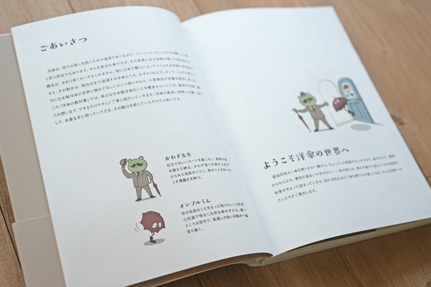 『詳しく楽しく学べる 洋傘の教科書 1％以下の洋傘のこと』