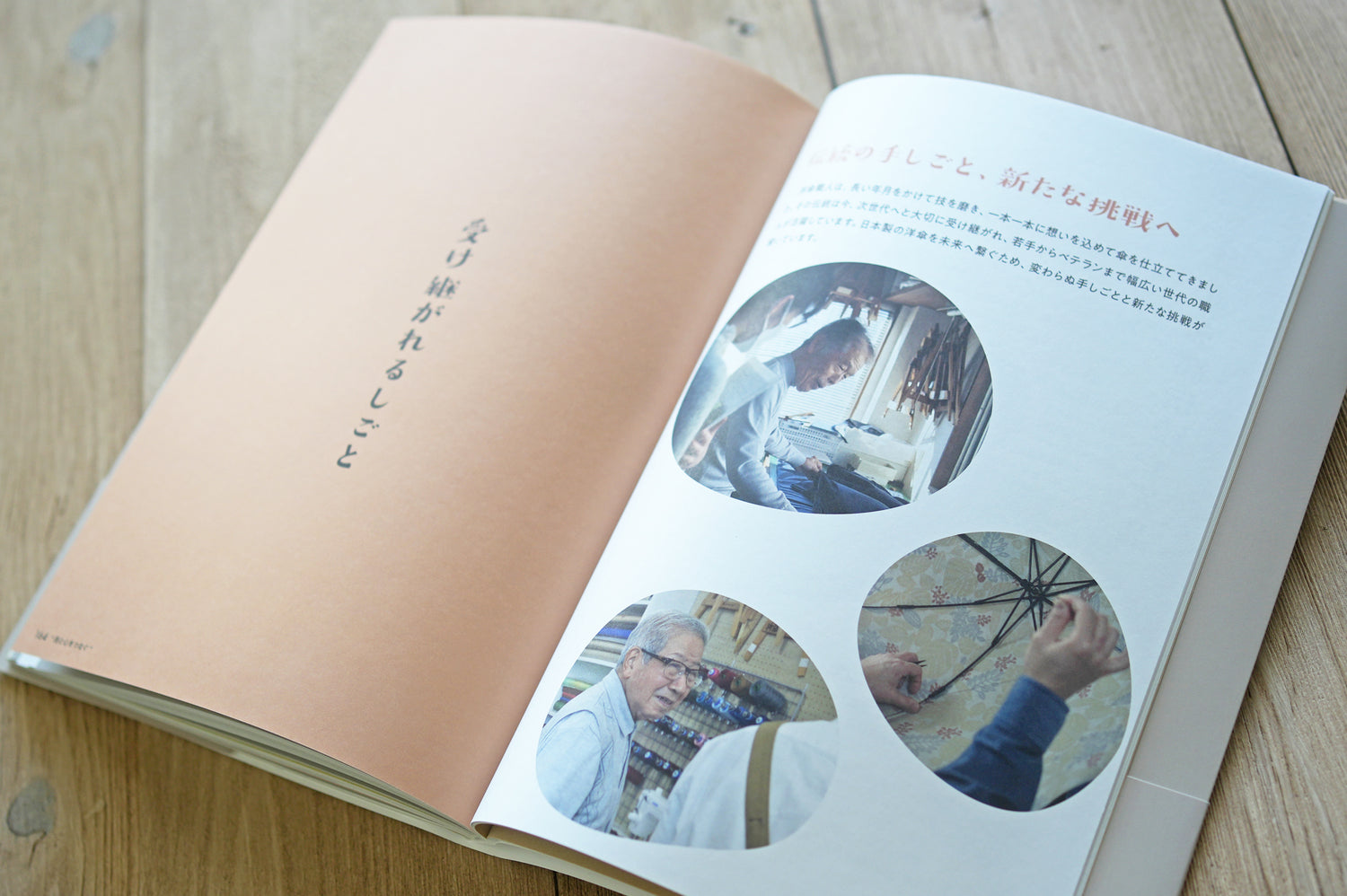 『詳しく楽しく学べる 洋傘の教科書 1％以下の洋傘のこと』