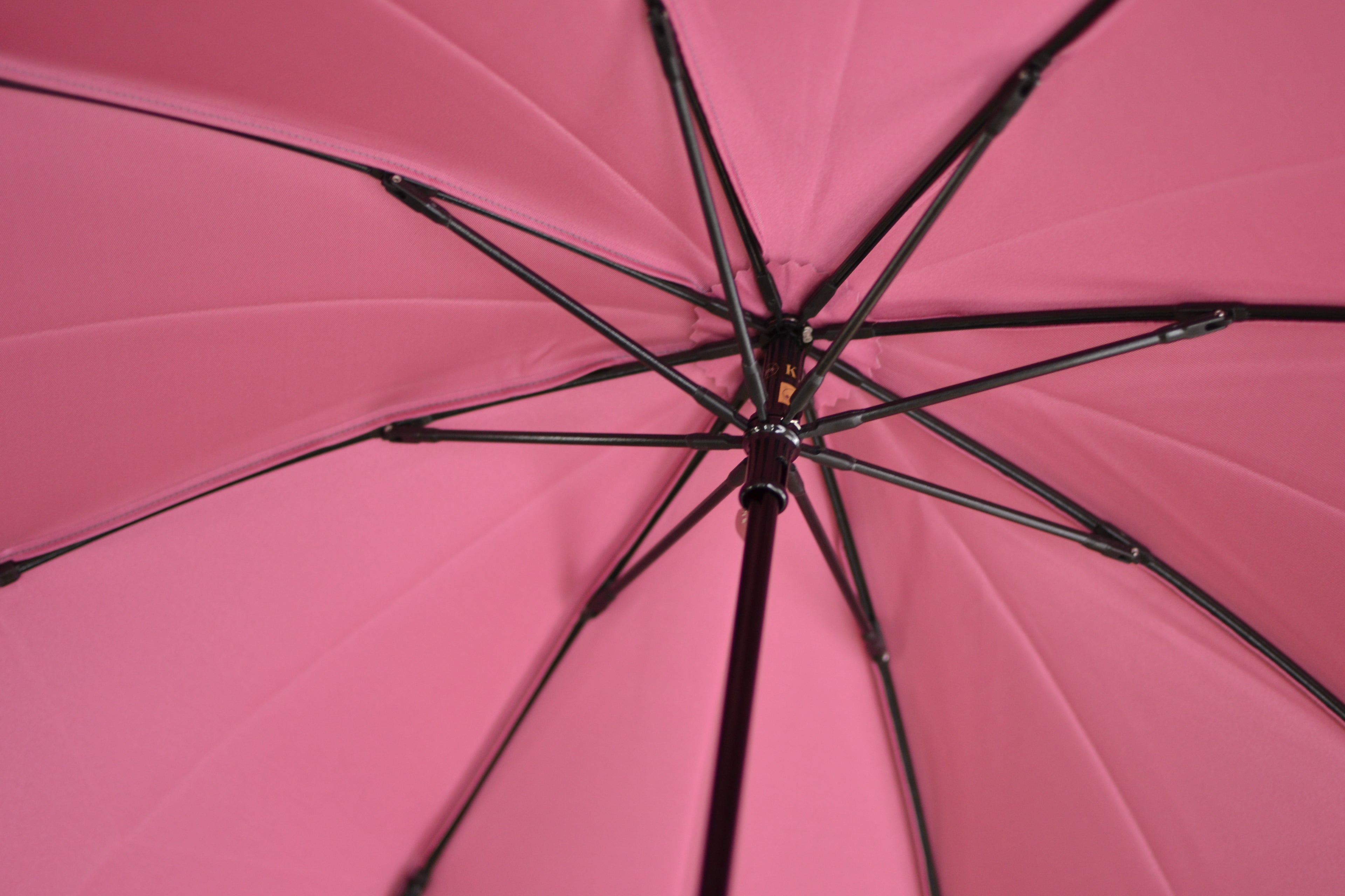 Kasane Folding Umbrella 55cm 8 Ribs