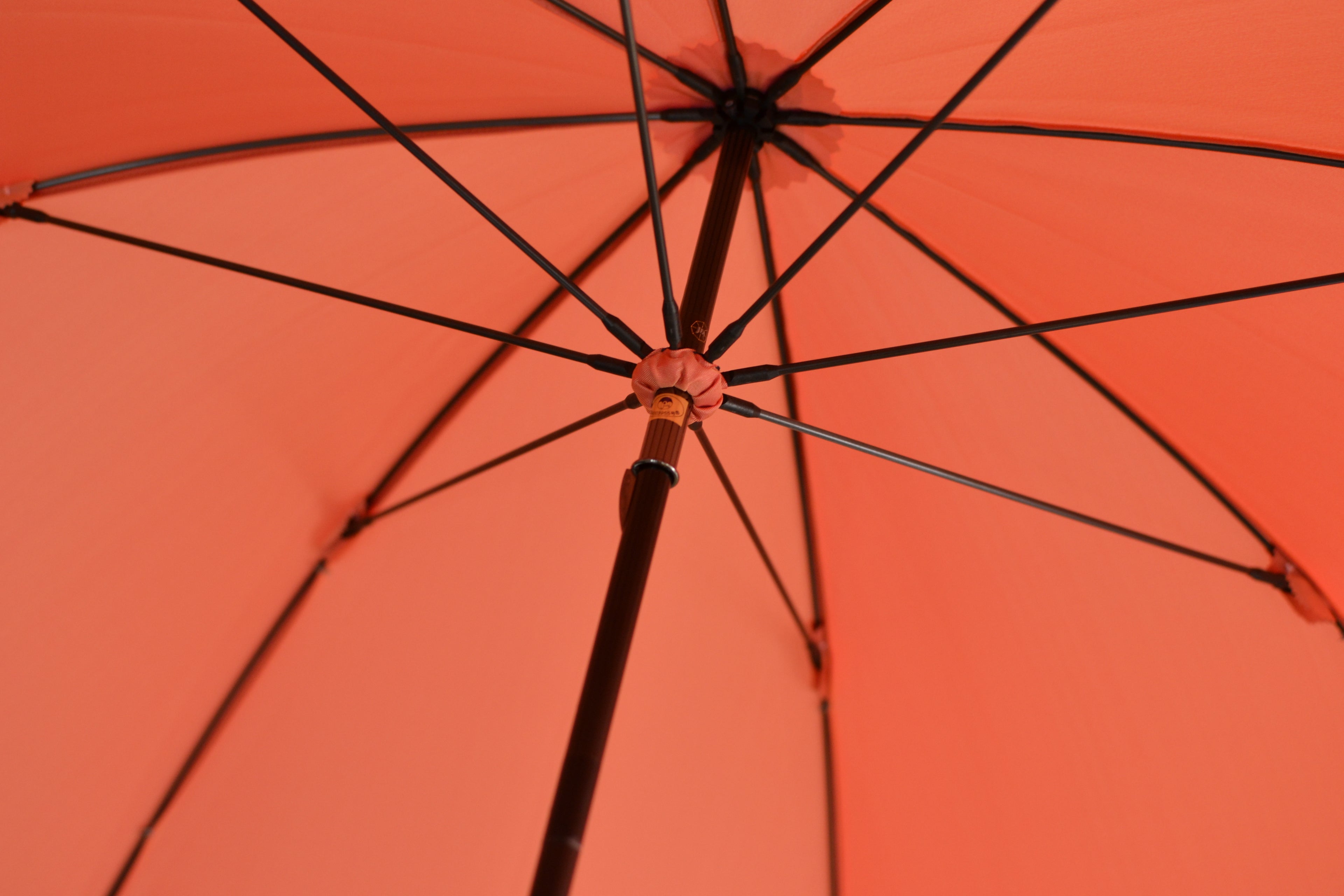 [Best Price] Aoi Long Umbrella 60cm 8 Ribs