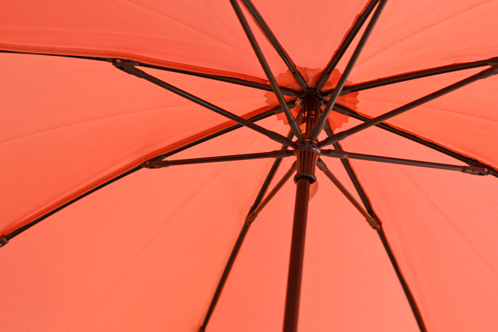 [Best price] Aoi folding umbrella 55cm 8ribs