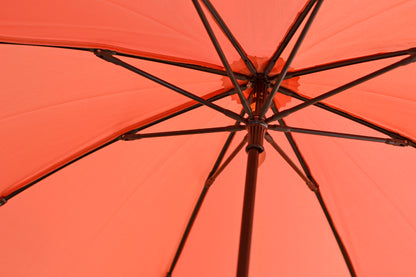 [Best price] Aoi folding umbrella 55cm 8ribs