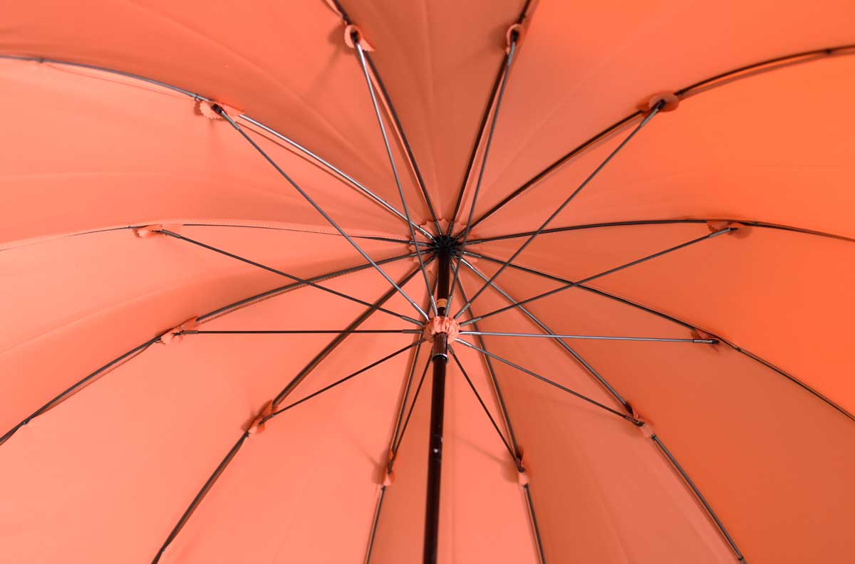[Best Price] Hiyori Long Umbrella 55cm 12 Ribs