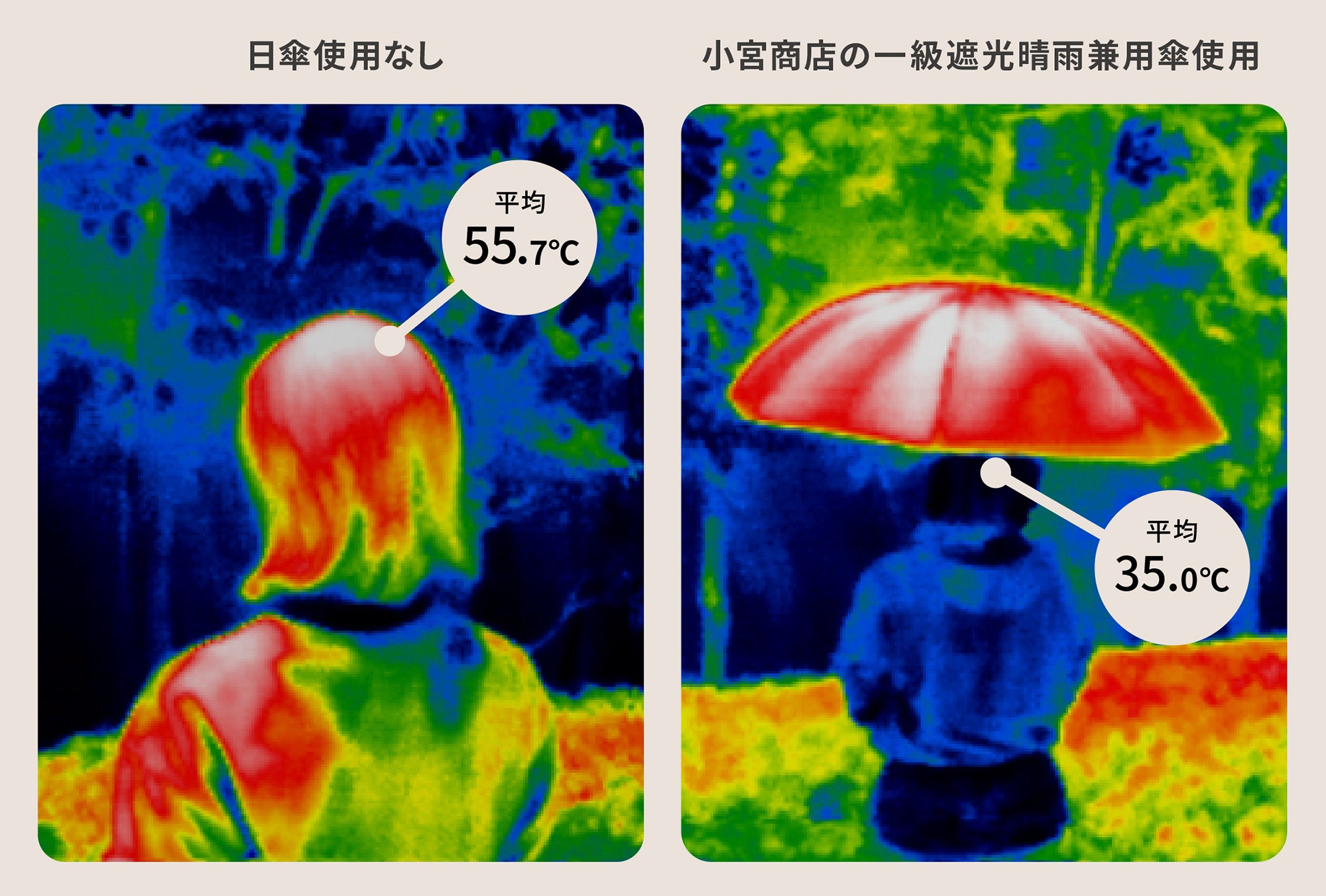 一級遮光で遮熱効果の高い,バンブーハンドルの晴雨兼用長傘 – 傘専門店