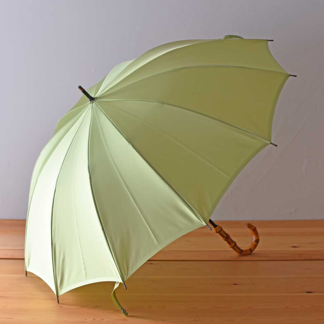 [Best Price] Hiyori Long Umbrella 55cm 12 Ribs